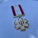 Награда &laquo;За исцеление человеческих душ&raquo; позолота ВТО_327-6_1 &ndash; Фото 8