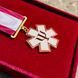 Награда &laquo;За исцеление человеческих душ&raquo; позолота ВТО_327-6_1 &ndash; Фото 9